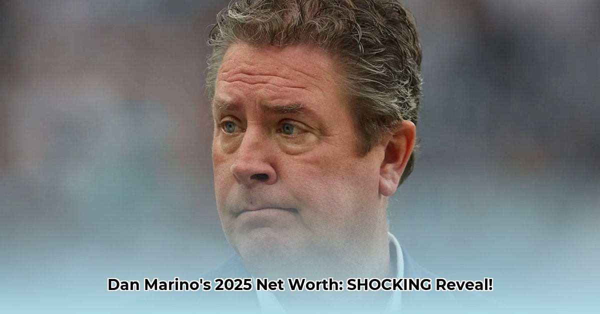how-much-is-dan-marino-worth